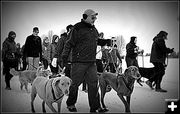 Dog Day Morning. Photo by Terry Allen.