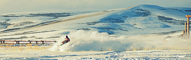 Big Snow. Photo by Terry Allen.