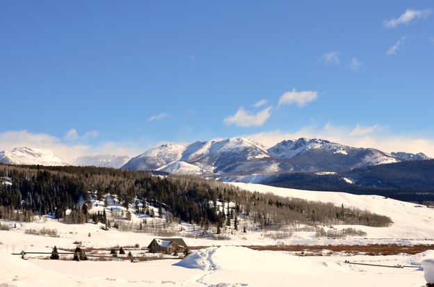 Sled Dog Country. Photo by Terry Allen.