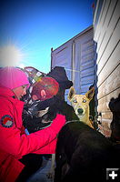 Meeting the Dogs. Photo by Terry Allen.