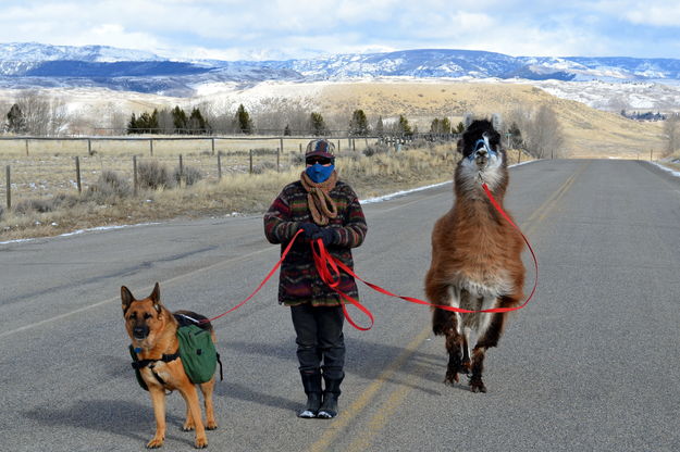 The Three Packers. Photo by Terry Allen.