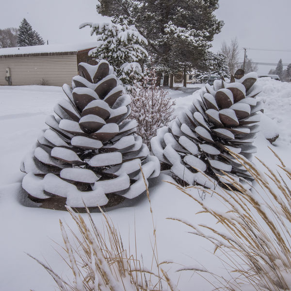 Show Snovels. Photo by Arnold Brokling.