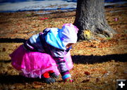 Grabbing Candy 2. Photo by Terry Allen.