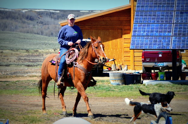 Sylvee on Bunny. Photo by Terry Allen.