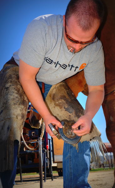 Mike Shoes a Horse. Photo by Terry Allen.