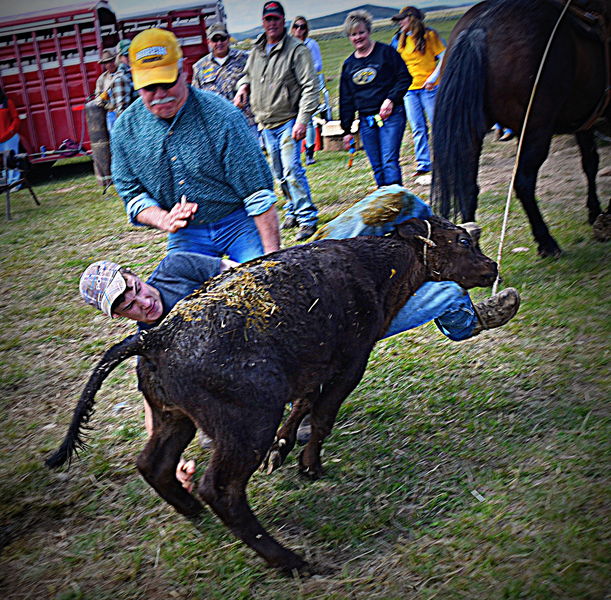 Slippery Critter. Photo by Terry Allen.