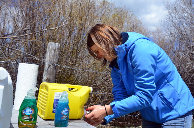 Washing Up. Photo by Terry Allen.