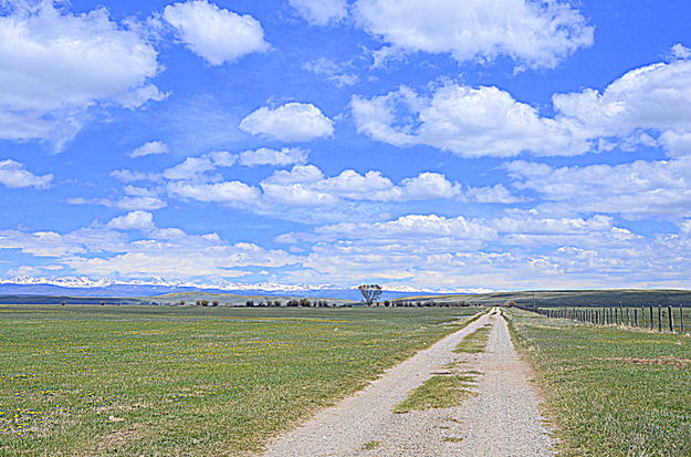 Headed Home. Photo by Terry Allen.