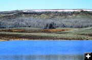 Pond. Photo by Terry Allen.