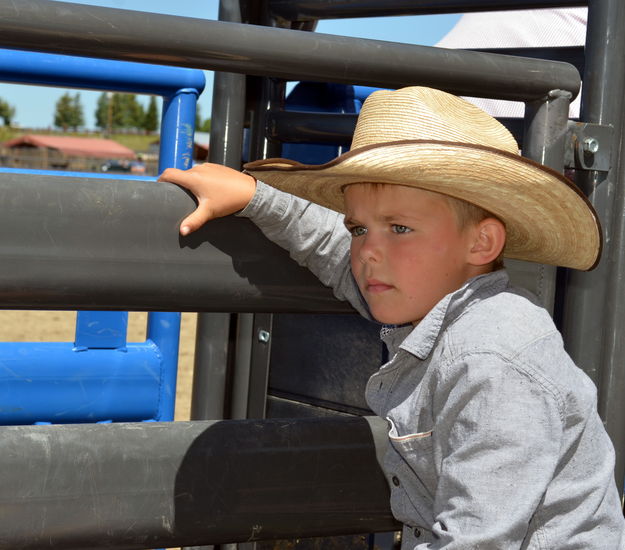 Thinking About the Ride. Photo by Terry Allen.