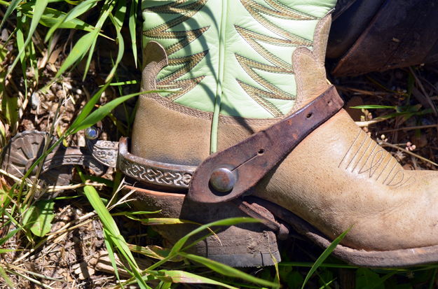 A Cowgirl at Rest. Photo by Terry Allen.