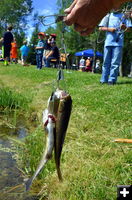 Cody and Wyatt's Stringer. Photo by Terry Allen.