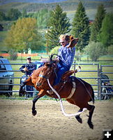 Bronc 2. Photo by Terry Allen.