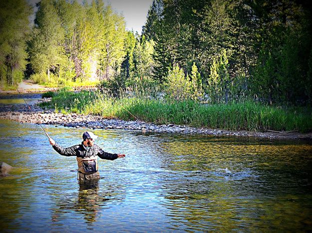 Fly Fishing in the Park. Photo by Terry Allen.