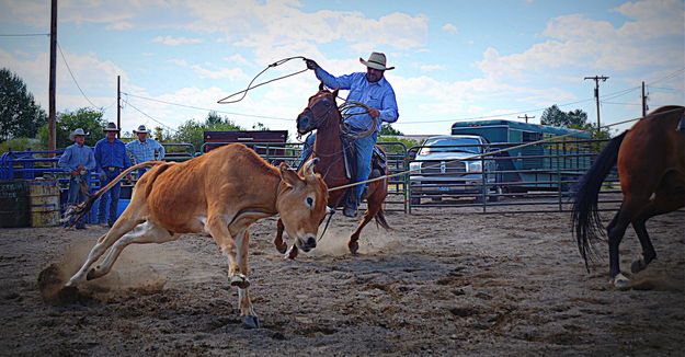 Head and Heel. Photo by Terry Allen.