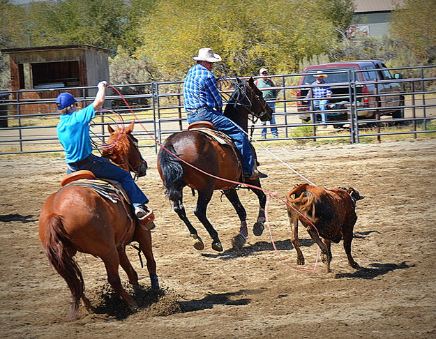 Heading and Heeling. Photo by Terry Allen.