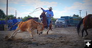 Head and Heel. Photo by Terry Allen.