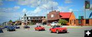 A Slither of Cobra's. Photo by Terry Allen.