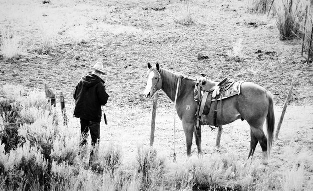 Eddie Closes a Gate. Photo by Terry Allen.