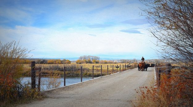 Driving Across a New Fork Bridge. Photo by Terry Allen.