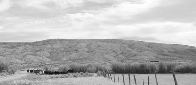 Driving Toward The Buttes. Photo by Terry Allen.