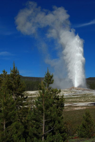 Old Faithful. Photo by Fred Pflughoft.