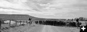 Pushing Toward the Buttes. Photo by Terry Allen.