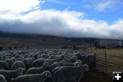 Clouds Threaten. Photo by Cat Urbigkit, Pinedale Online.