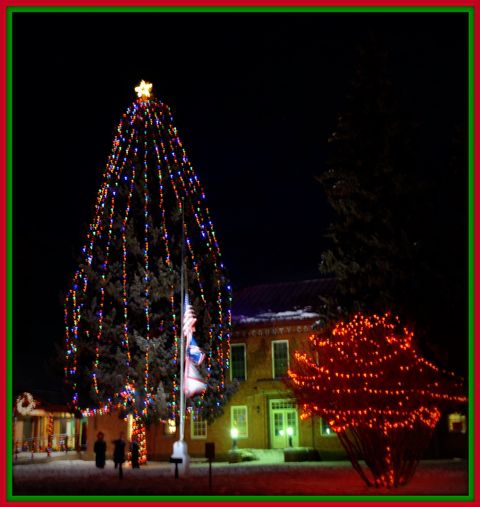 The Courthouse Tree. Photo by Terry Allen.