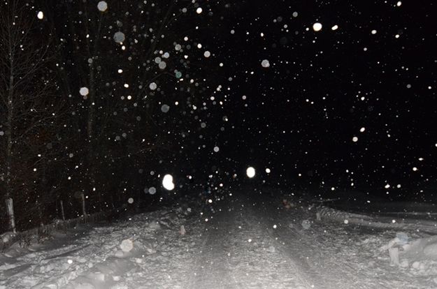 Deputies and Troopers patrol our roads in case we make a mistake.. Photo by Terry Allen.