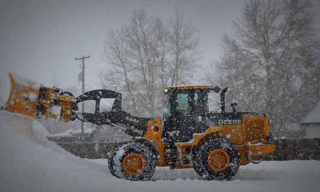 Robert J. clearing a lot. Photo by Terry Allen.