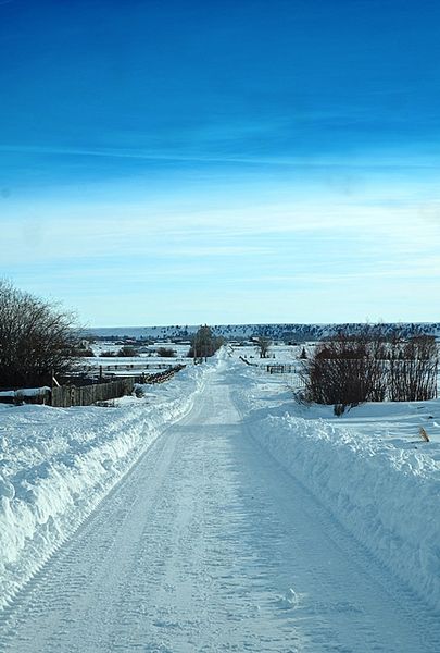 Blair Road. Photo by Terry Allen.