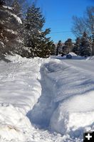 Sidewalk to No Where. Photo by Terry Allen.