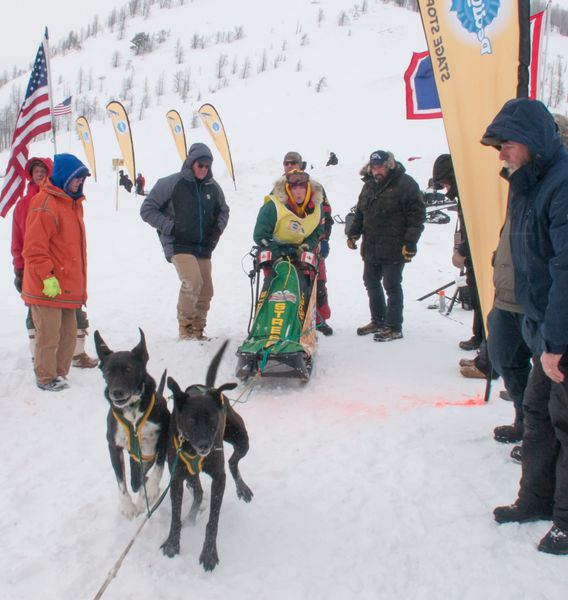 Starting Line. Photo by Chris Havener, Pedigree Stage Stop Race.