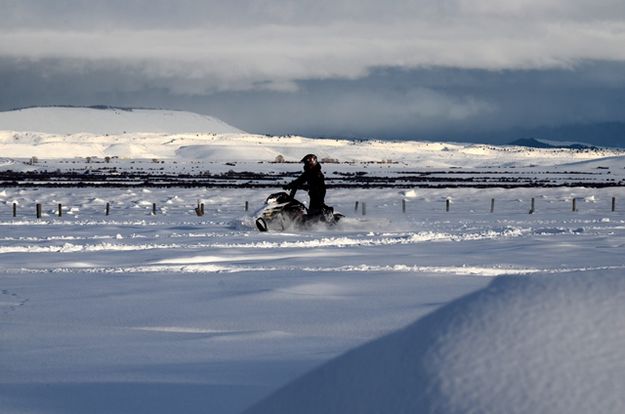 Lone Rider. Photo by Terry Allen.