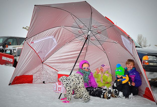 Blocking the Blizzard. Photo by Terry Allen.