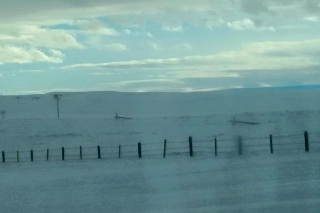 Broken power poles south of Daniel. Photo by Kenna Tanner.