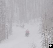 Snow storm. Photo by Chris Havener, Pedigree Stage Stop Race.