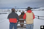 Out to Feed. Photo by Terry Allen.