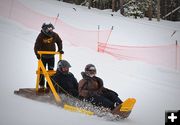 Sled Dog Racing. Photo by Terry Allen.