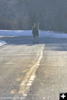 Oncoming traffic. Photo by Dave Bell.