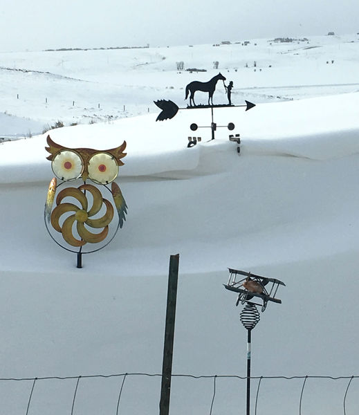 Snowy yard ornaments. Photo by Renee Smythe.