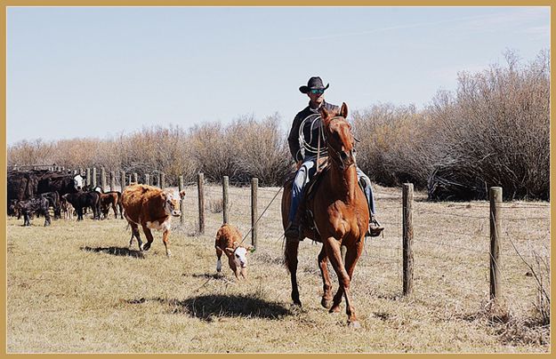 Bringing Him to the Fire. Photo by Terry Allen.