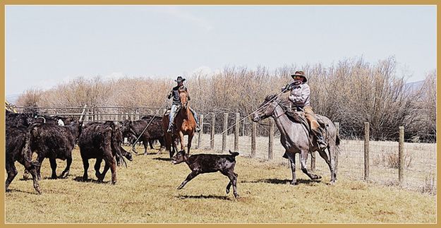 In the Open. Photo by Terry Allen.