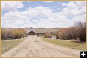 From Pasture to Barn. Photo by Terry Allen.