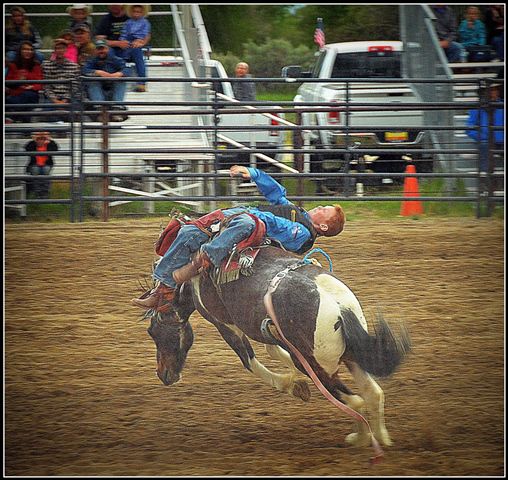 Bucking. Photo by Terry Allen.