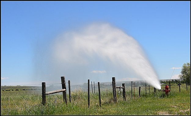 Hydrant Art. Photo by Terry Allen.