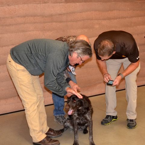 Quick Response Dog Rescue. Photo by Terry Allen.