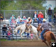 Bucking. Photo by Terry Allen.