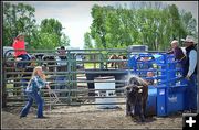 Throw the Rope, Throw up Dust. Photo by Terry Allen.